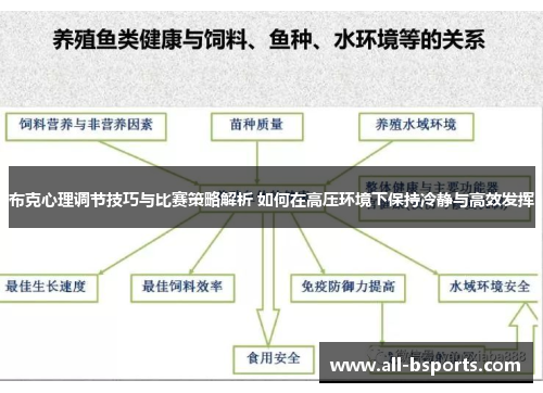布克心理调节技巧与比赛策略解析 如何在高压环境下保持冷静与高效发挥