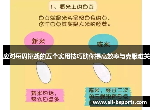应对每周挑战的五个实用技巧助你提高效率与克服难关