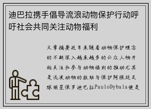 迪巴拉携手倡导流浪动物保护行动呼吁社会共同关注动物福利